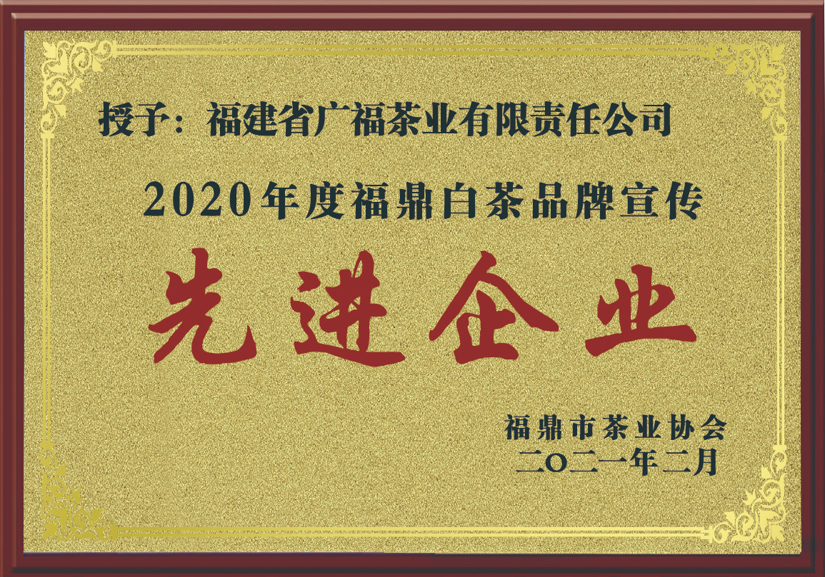2020年度福鼎白茶抗议工作先进企业