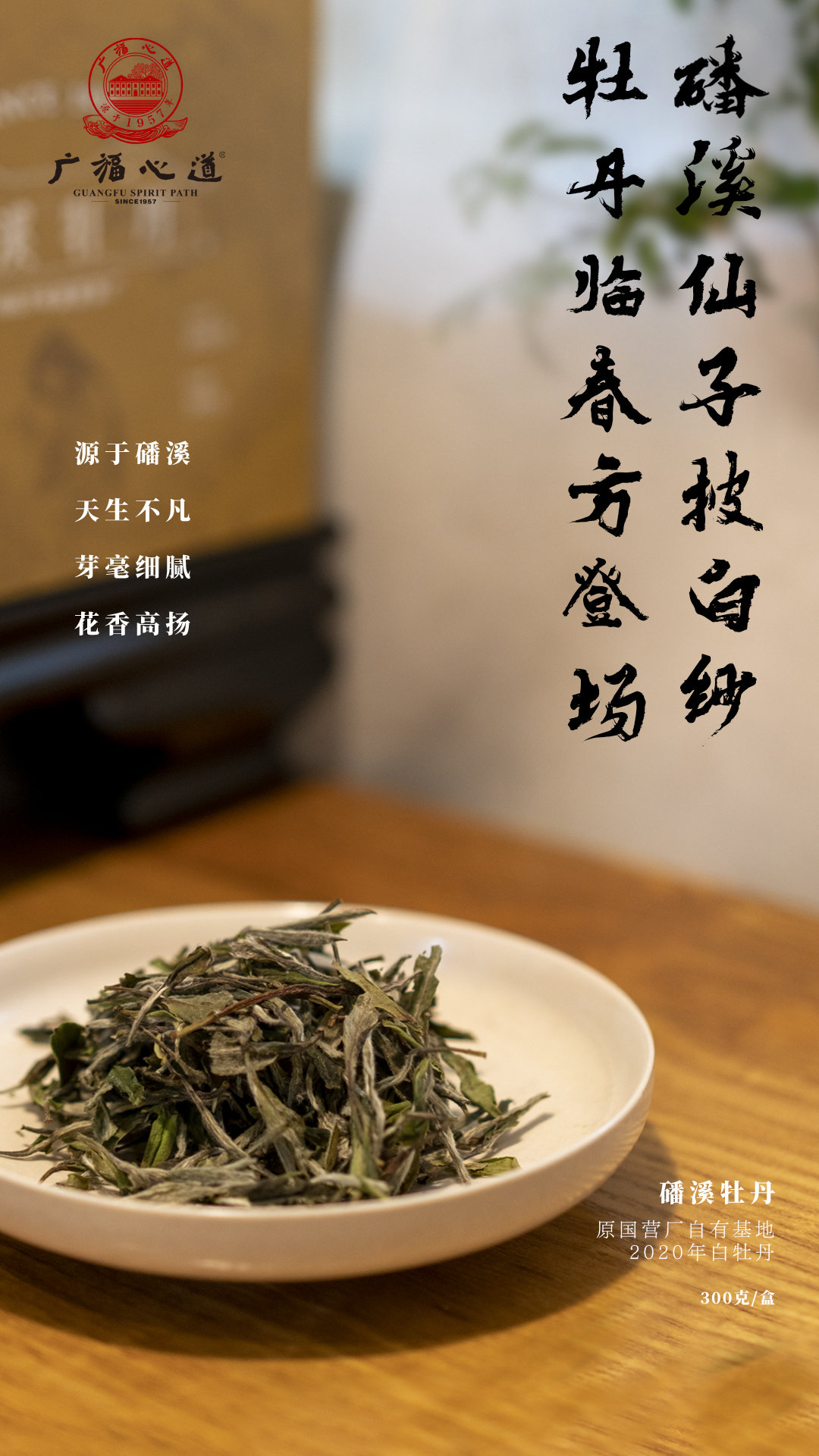 磻溪银针、磻溪牡丹：黄金产区高品质，老茶新芽争鲜甜 (图12)