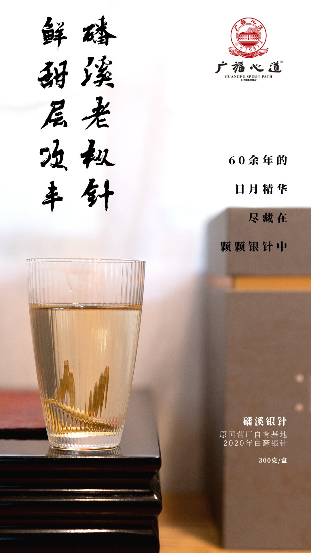 磻溪银针、磻溪牡丹：黄金产区高品质，老茶新芽争鲜甜 (图14)