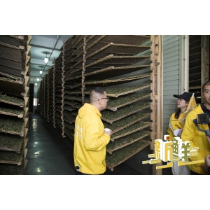 “新·鲜”茶山行 3月21日