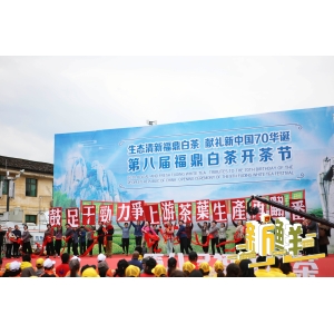 “新鲜”茶山行 3.23开茶节