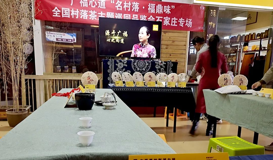 带君领略老白茶之味，广福心道石家庄站村落品鉴会精彩回顾(图6)